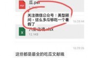 娱乐圈吃瓜pdf文件,PDF文件深度解析